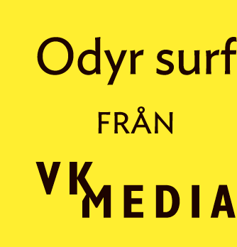 Odyrsurf_logo3
